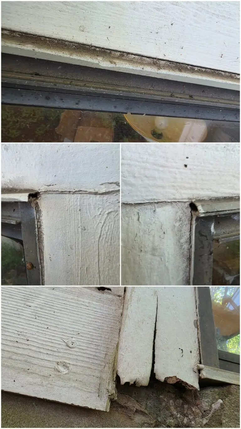 Drywall and Trim Water Damage Repair in Austin — austin