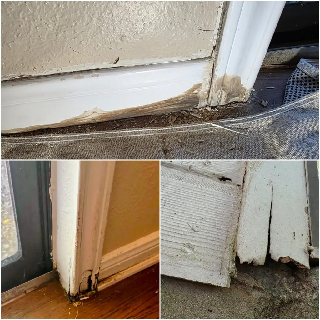 Drywall and Trim Water Damage Repair in Austin — austin handyman